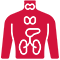 Anatomi